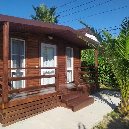 Guesthouse Mira กากรา ภายนอก รูปภาพ