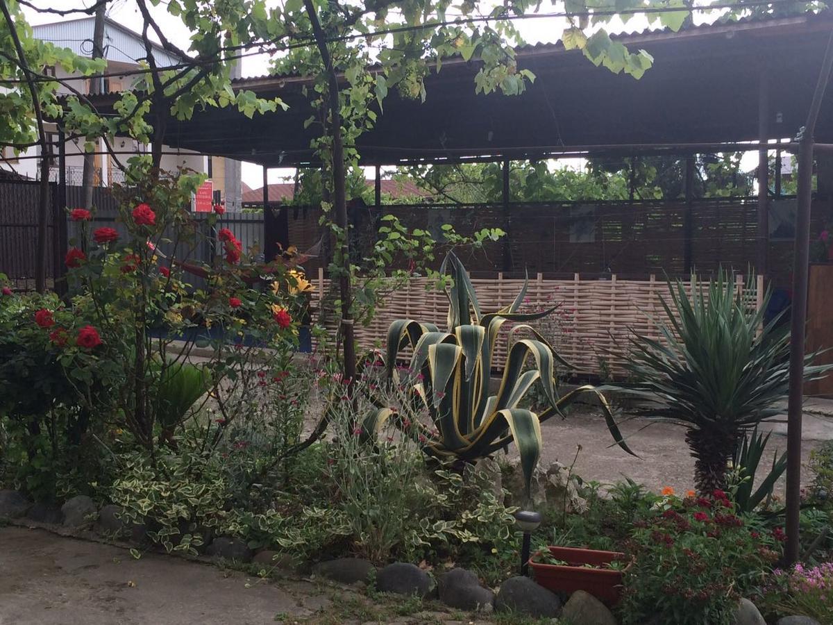 Guesthouse Mira กากรา ภายนอก รูปภาพ
