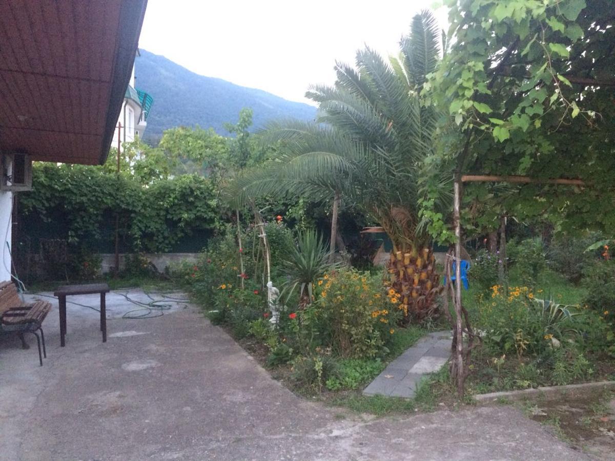 Guesthouse Mira กากรา ภายนอก รูปภาพ
